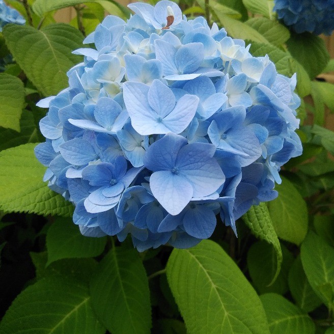 スタッフの写真