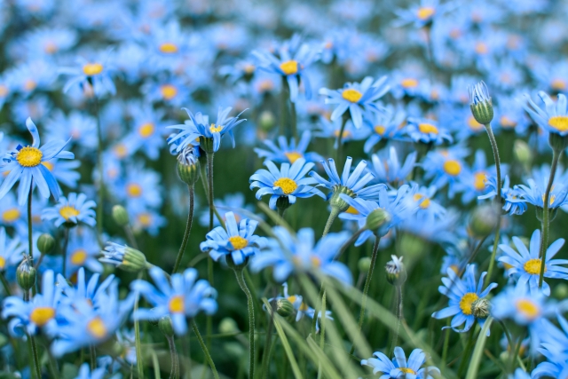 スタッフの写真