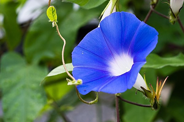 スタッフの写真