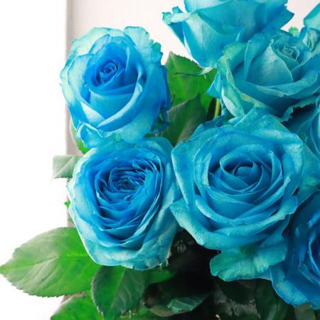 スタッフの写真