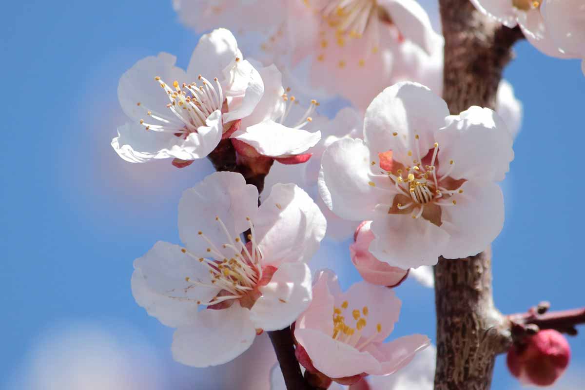 スタッフの写真