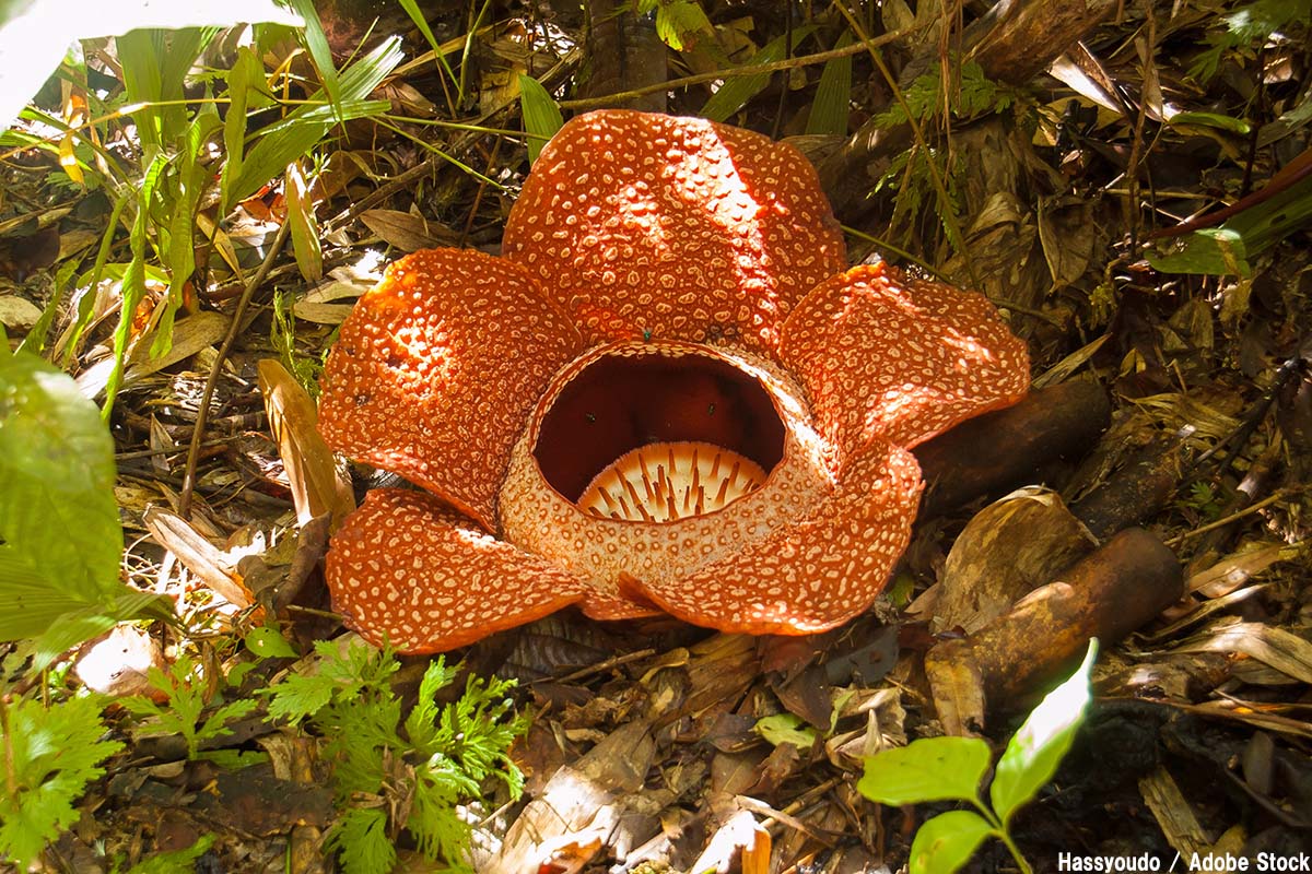 スタッフの写真