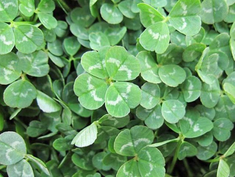 スタッフの写真